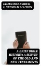 A Brief Bible History: A Survey of the Old and New Testaments