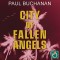 City of Fallen Angels