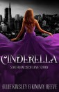 Cinderella: San Francisco Love Story