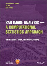 SAR Image Analysis - A Computational Statistics Approach