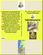 Heinrich Schliemann: Selbstbiographie  -  Band 198e in der gelben Buchreihe - bei Jürgen Ruszkowski