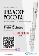 C Flute 1 (solo) part of 