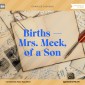 Births - Mrs. Meek, of a Son