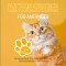 Katzenratgeber für Anfänger: Wie Sie Ihre Katze verstehen, versorgen und eine enge Bindung zu Ihr aufbauen - inkl. Tipps bei Katzen Krankheit