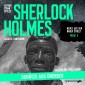 Sherlock Holmes: Schätze aus Übersee
