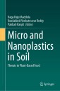 Micro and Nanoplastics in Soil