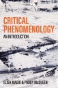 Critical Phenomenology
