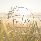 12 Tracks for Life: An Antidote to Stress - Healing Sounds & Relaxation Music for Your Body, Mind and Soul