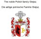 The noble Polish family Giejsz. Die adlige polnische Familie Giejsz.