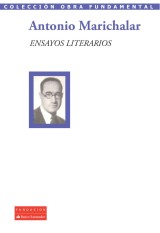 Ensayos literarios