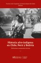 Historia afro-indígena en Chile, Perú y Bolivia