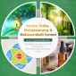 Innere Ruhe, Entspannung & Gelassenheit lernen - 4 in 1 Sammelband: Die Reise zur inneren Ruhe | Waldbaden | Pflanzenwasser anwenden | Ikigai