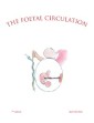The Foetal Circulation