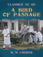 A Bird of Passage