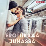 Erotiikkaa junassa