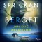 Sprickan i berget