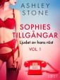 Sophies tillgångar vol. 1: Ljudet av hans röst - erotisk novell