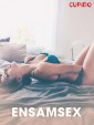 Ensamsex - erotiska noveller