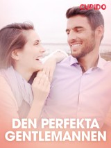 Den perfekta gentlemannen - erotisk novell