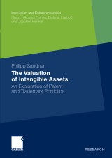 The Valuation of Intangible Assets