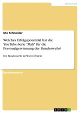Welches Erfolgspotential hat die YouTube-Serie 
