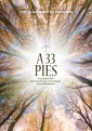 A 33 pies