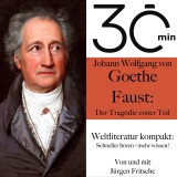 30 Minuten: Johann Wolfgang von Goethes 