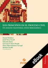 Los principios en el proceso civil