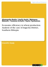 Economic efficiency in wheat production. Analysis of the case of Angecha District, Southern Ethiopia
