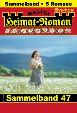 Heimat-Roman Treueband 47