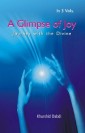 A Glimpse Of Joy (Journey With The Divine) Volume 3