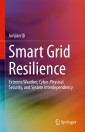 Smart Grid Resilience