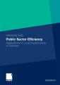 Public Sector Efficiency