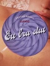 Ett bra slut - erotisk novell