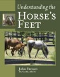 Understanding the Horse's Feet