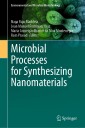 Microbial Processes for Synthesizing Nanomaterials