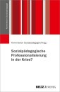 Sozialpädagogische Professionalisierung in der Krise?