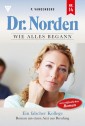 Dr. Norden - Wie alles begann 14 - Arztroman