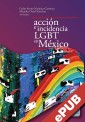 Acción colectiva e incidencia LGBT en México
