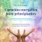 Curación energética para principiantes: Comprende fácilmente la sanación energética, aplícala tú mismo o encuentra un sanador adecuado