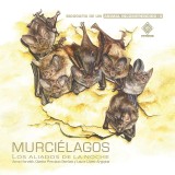 Murciélagos, los aliados de la noche