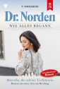 Dr. Norden - Wie alles begann 15 - Arztroman