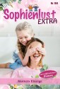 Sophienlust Extra 104 - Familienroman