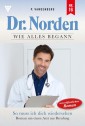 Dr. Norden - Wie alles begann 16 - Arztroman