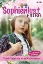 Sophienlust Extra 110 - Familienroman