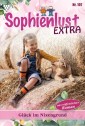 Sophienlust Extra 107 - Familienroman