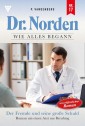 Dr. Norden - Wie alles begann 17 - Arztroman
