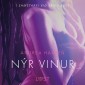 Nýr vinur - Erótísk smásaga