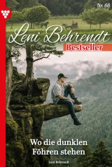 Leni Behrendt Bestseller 66 - Liebesroman