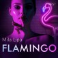 Flamingo - opowiadanie erotyczne